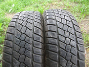 Пара безупречной зимней резины Pneumant 175/65/14