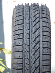 Новые шины Winter-MS 810 205/55 R16