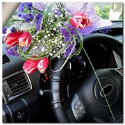 Автошкола Европейского университета,  метро Святошин