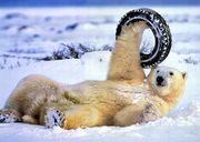 Распродажа б/у резины R 16 -17,