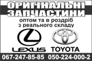 Оригинальные запчасти на TOYOTA и LEXUS