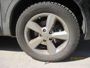 Амортизатор на Ниссан кашкай, Разборка Ниссан кашкай.